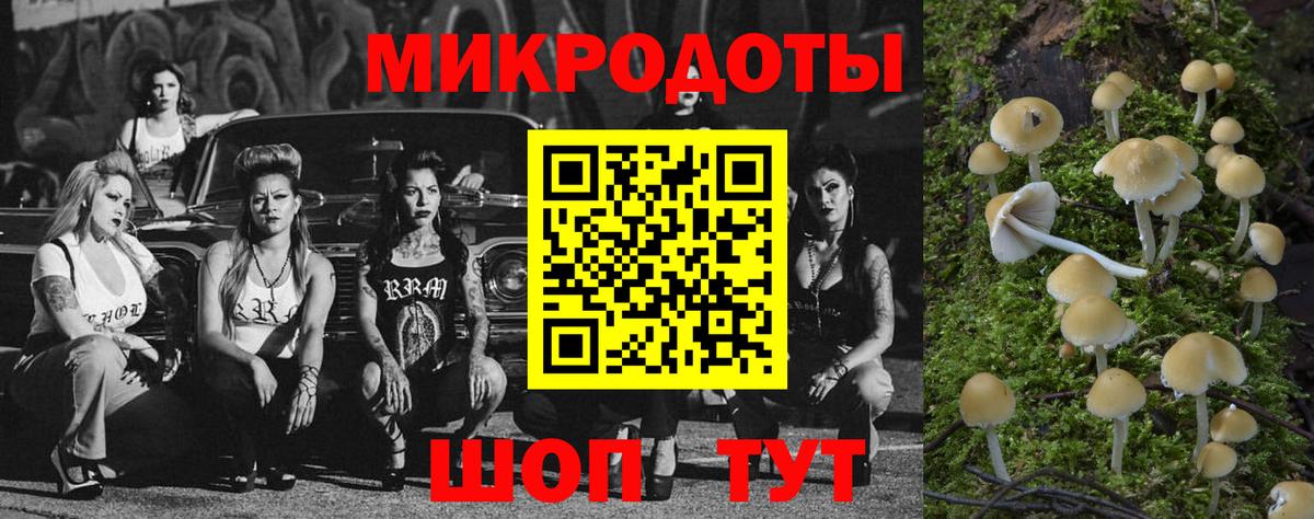 Псилоцибиновые грибы ЛСД  Вход с VPN  что такое   Кинель 