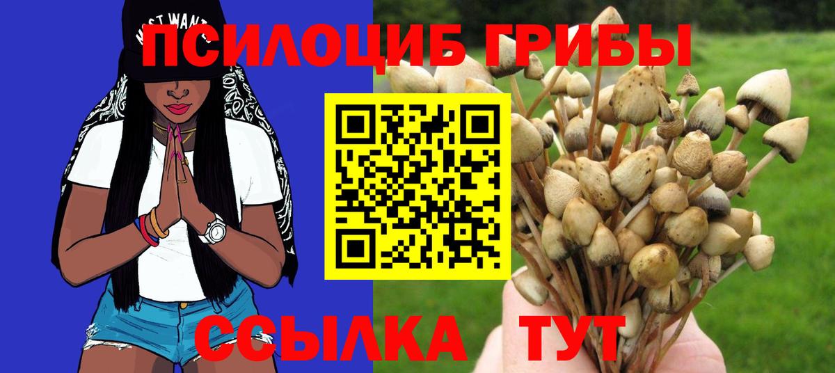 Галлюциногенные грибы Magic Shrooms Кинель